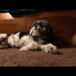 Meet your Posher, Jay